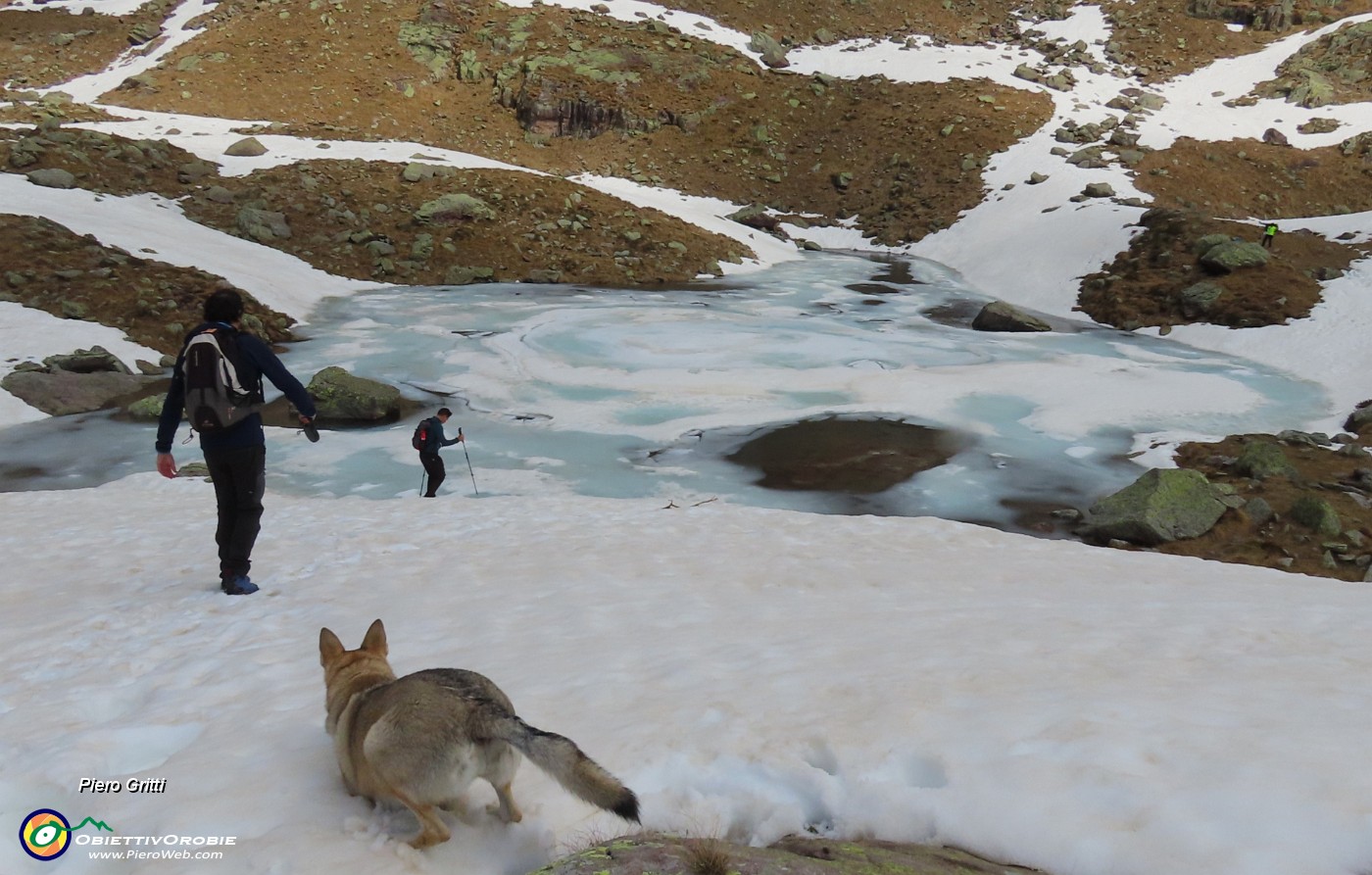 42 Scendiamo al laghetto affondando nella neve.JPG
